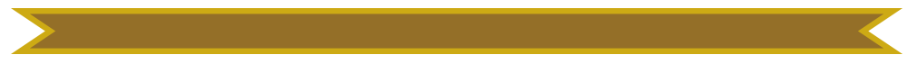 Narrow-Gold-Banner